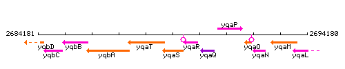 YqaS context.gif