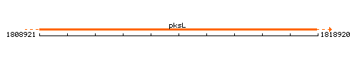 PksL context.gif