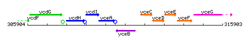 YceB context.gif