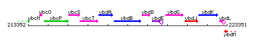 YbdB context.gif