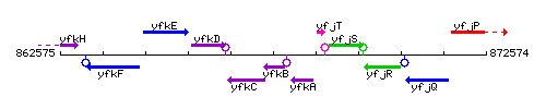 YfkB context.gif