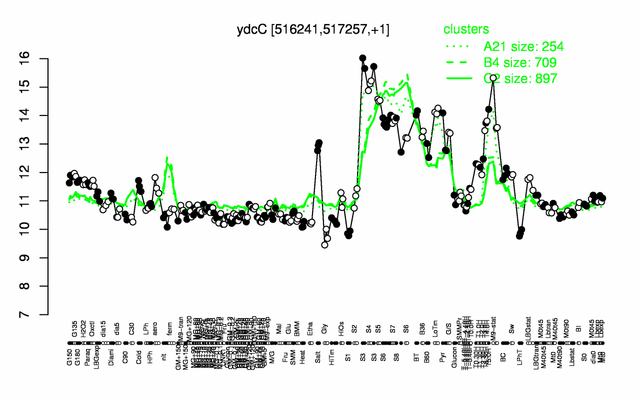 YdcC expression.png