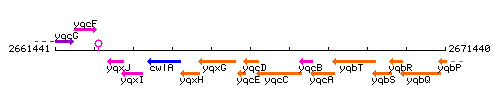 YqcD context.gif