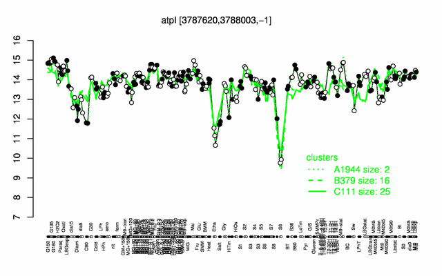 AtpI expression.png