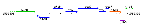 CtaC context.gif