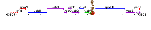 YabQ context.gif