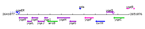 YqeG context.gif