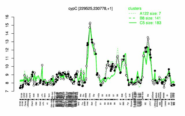 CypC expression.png