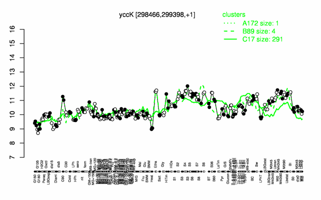 YccK expression.png