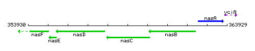 NasC context.gif