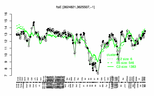 FtsE expression.png