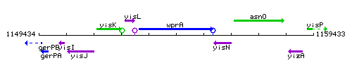 WprA context.gif