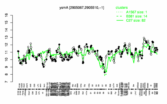 YsmA expression.png