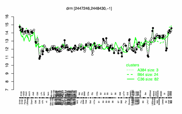 Drm expression.png