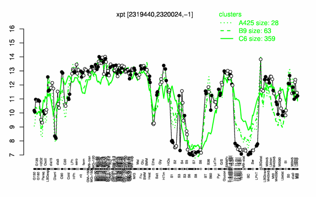 Xpt expression.png