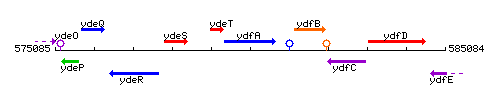 YdfA context.gif