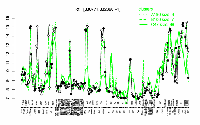 LctP expression.png