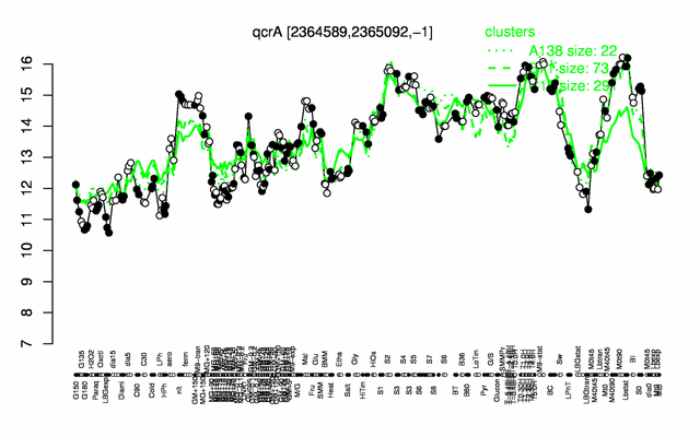 QcrA expression.png