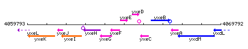 YxeE context.gif