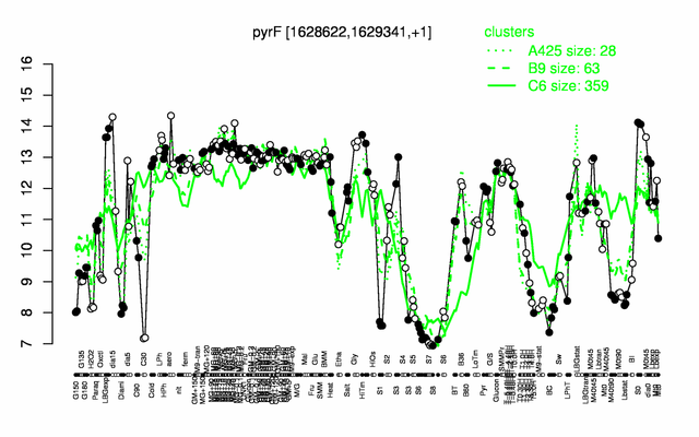 PyrF expression.png