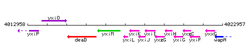 YxiL context.gif