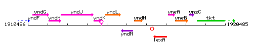 YndM context.gif