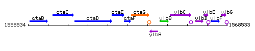 CtaF context.gif