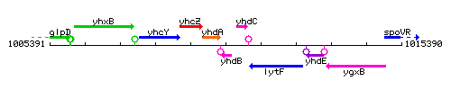 YhdB context.gif