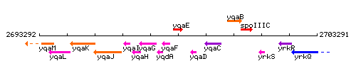 YqaE context.gif