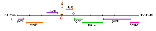 PgcM context.gif