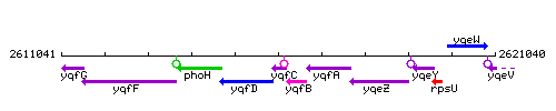 YqfC context.gif