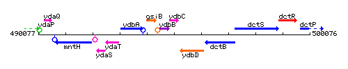 YdbC context.gif