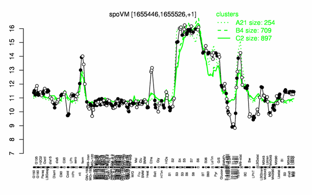 SpoVM expression.png