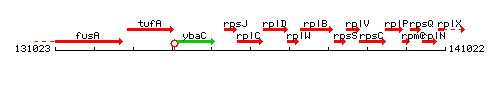 RplC context.gif