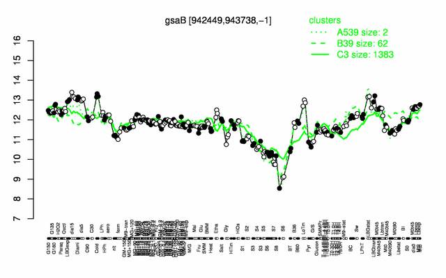 GsaB expression.png