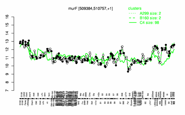 MurF expression.png