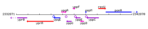 YppF context.gif