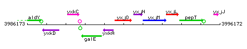 YxjO context.gif