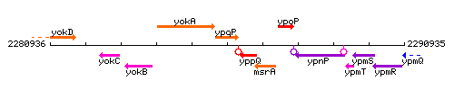 YpqP context.gif