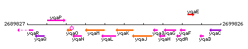 YqaK context.gif