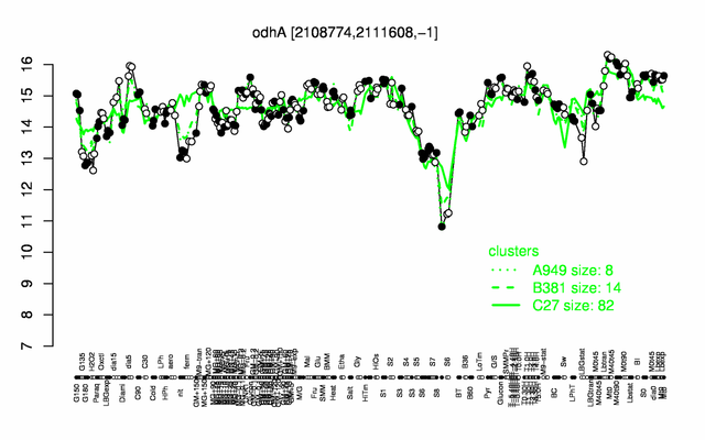 OdhA expression.png