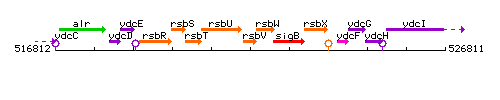 RsbV context.gif