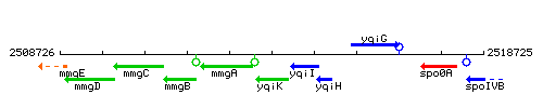 YqiK context.gif