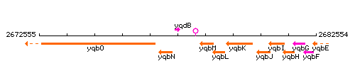 YqdB context.gif