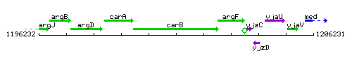 CarB context.gif