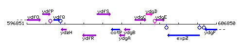 YdgA context.gif