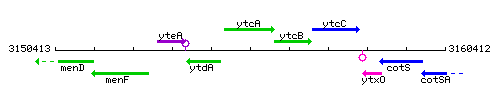 YtcA context.gif