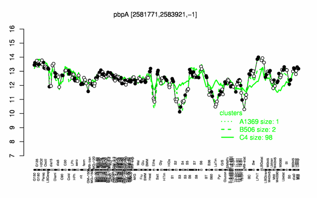 PbpA expression.png