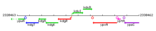 KduI context.gif