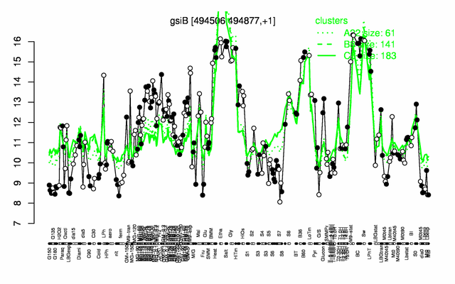 GsiB expression.png